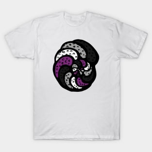 Asexual Pride Flag Foram Foraminifera Micropaleontology T-Shirt